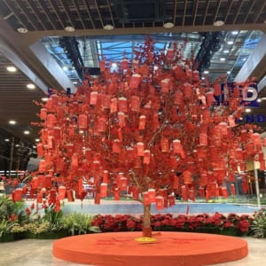 Cây Cổ Thụ Giả